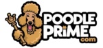 poodle prime logo