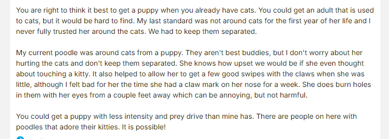 Story where poodles were harming cats unintentionally