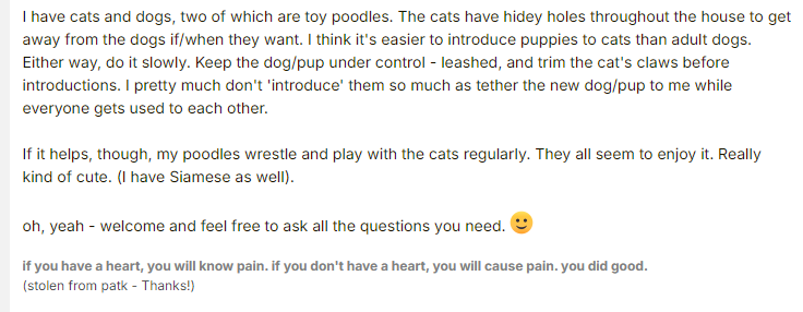 User that share story of the puppy getting along with the kittens